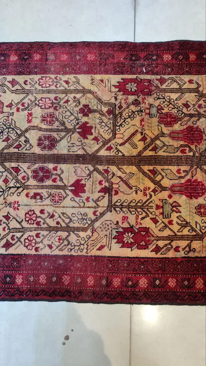 کناره|فرش|کرج, حاجی آباد|دیوار