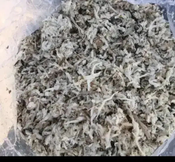 تفاله چغند ر در حد خشک حدود 20درصد رطوبت.|لوازم جانبی حیوانات|خانمیرزا, |دیوار