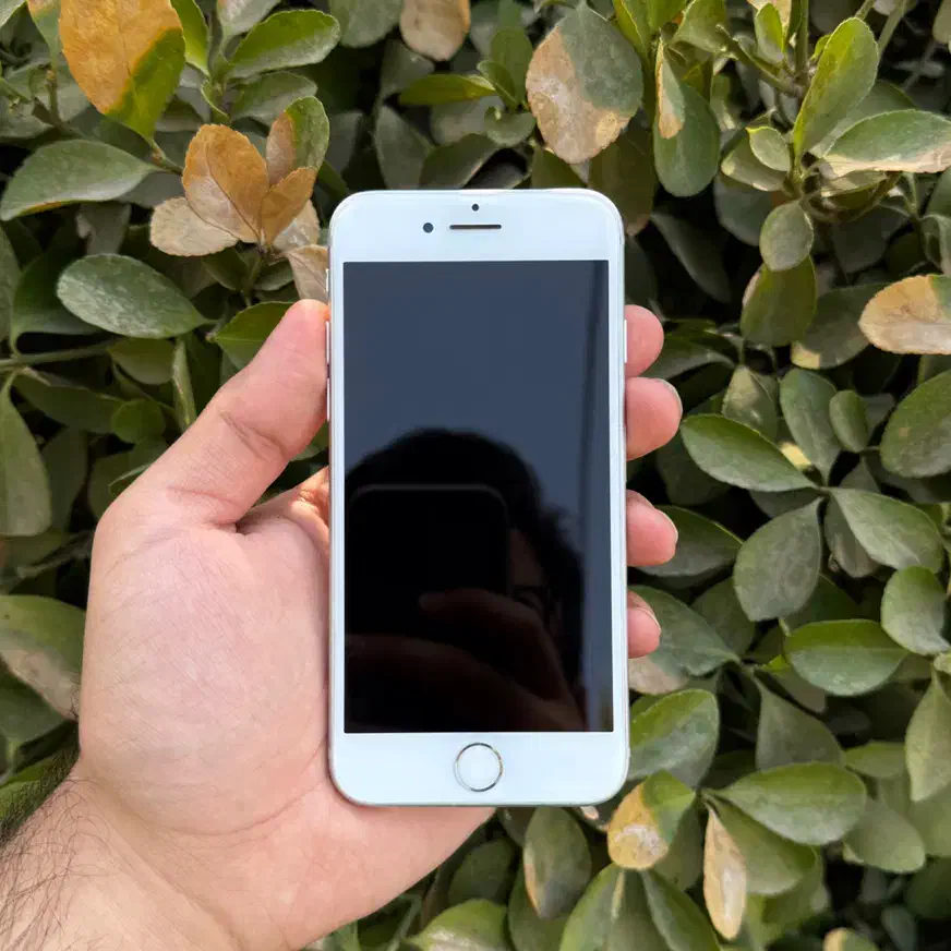 iPhone 7 ایفون|موبایل|تهران, ارم|دیوار