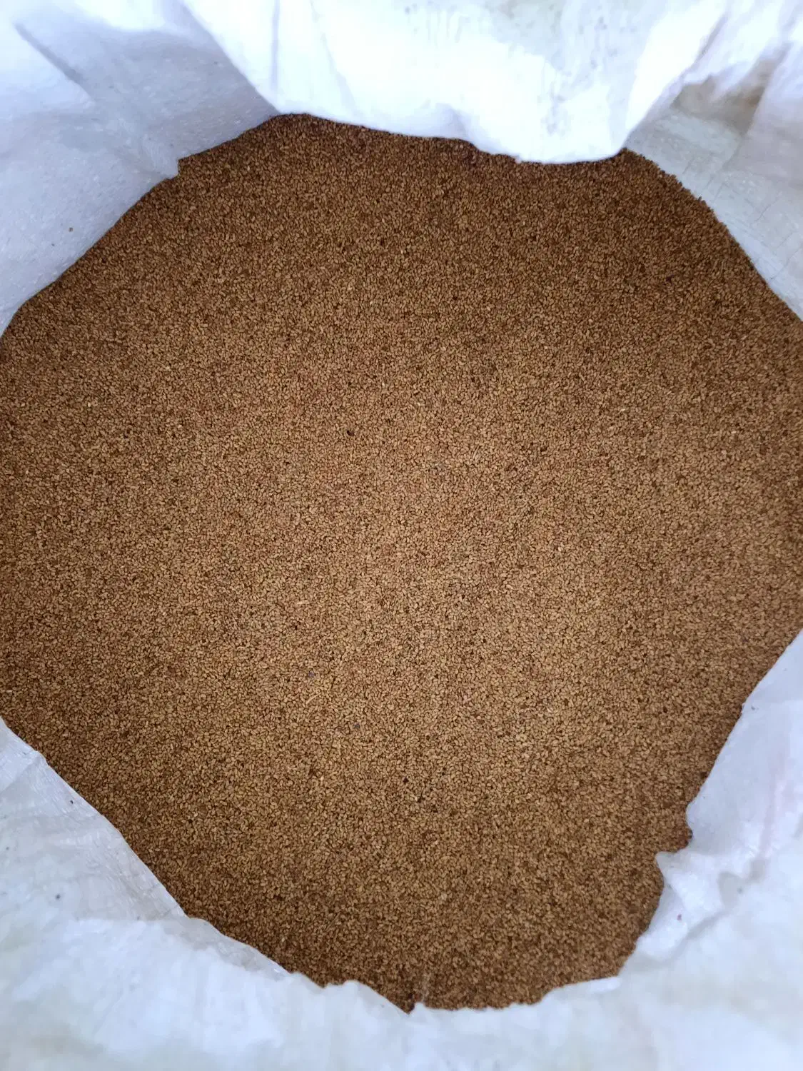 بذر یونجه بوجارشده ۵۰۰ کیلو|حیوانات مزرعه|زالیان, |دیوار