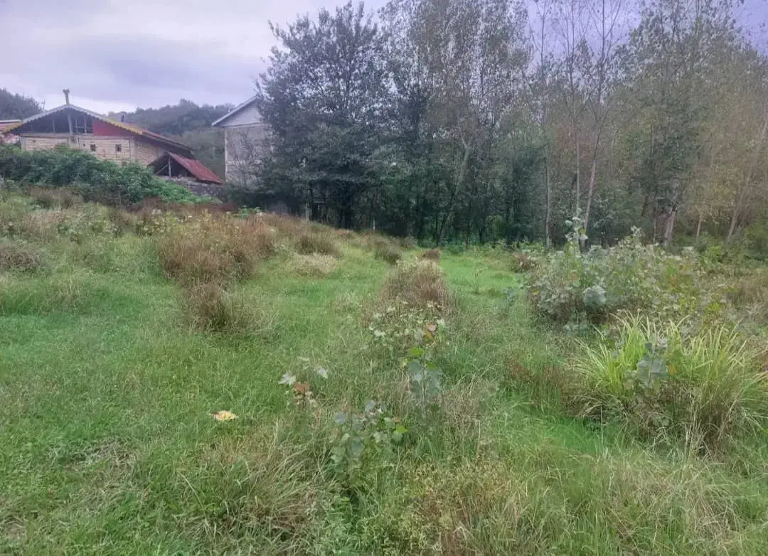 زمین مسکونی ۵۰۰ متری فروش شرایطی|فروش زمین و ملک کلنگی|املش, |دیوار