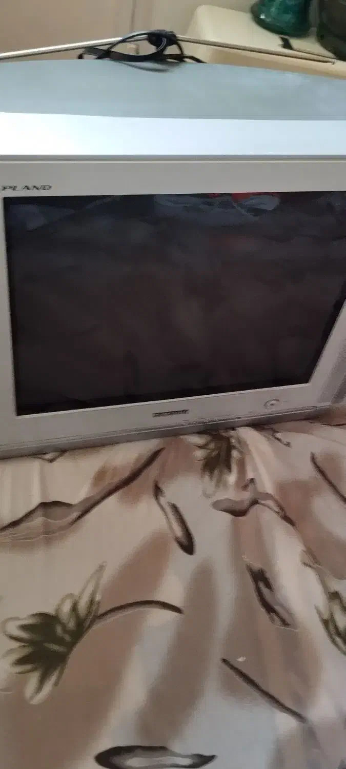 تلویزیون|تلویزیون و پروژکتور|ری, شهادت|دیوار