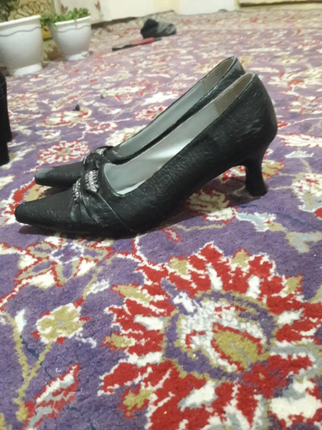 کفش در حد نو فقط یکیش استفاده نشده آک|کیف، کفش، کمربند|تربت‌حیدریه, حیدرآباد|دیوار