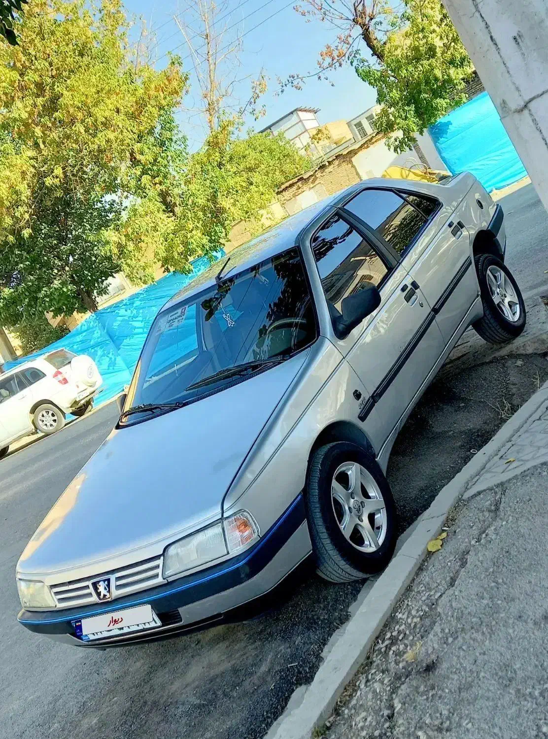 405 مدل 96 دوگانه فابریک|خودرو سواری و وانت|فارسان, |دیوار