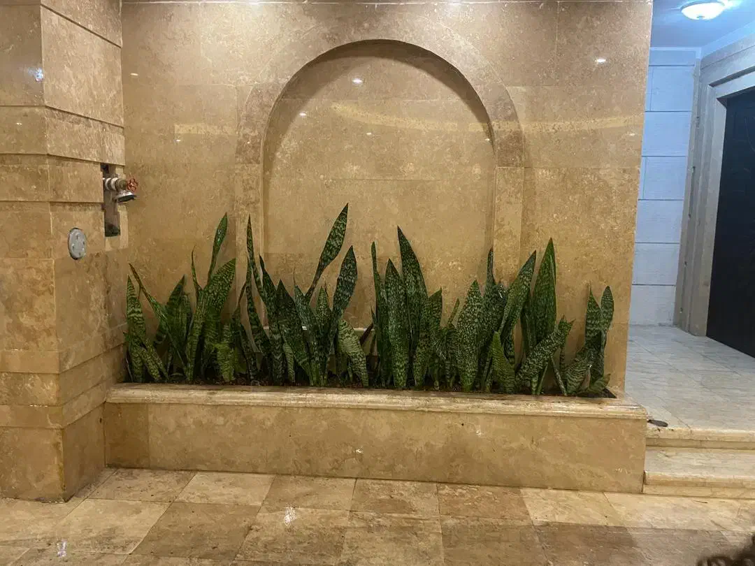 اجرا و نگهداری از فضای سبز|خدمات باغبانی و درختکاری|بابل, |دیوار