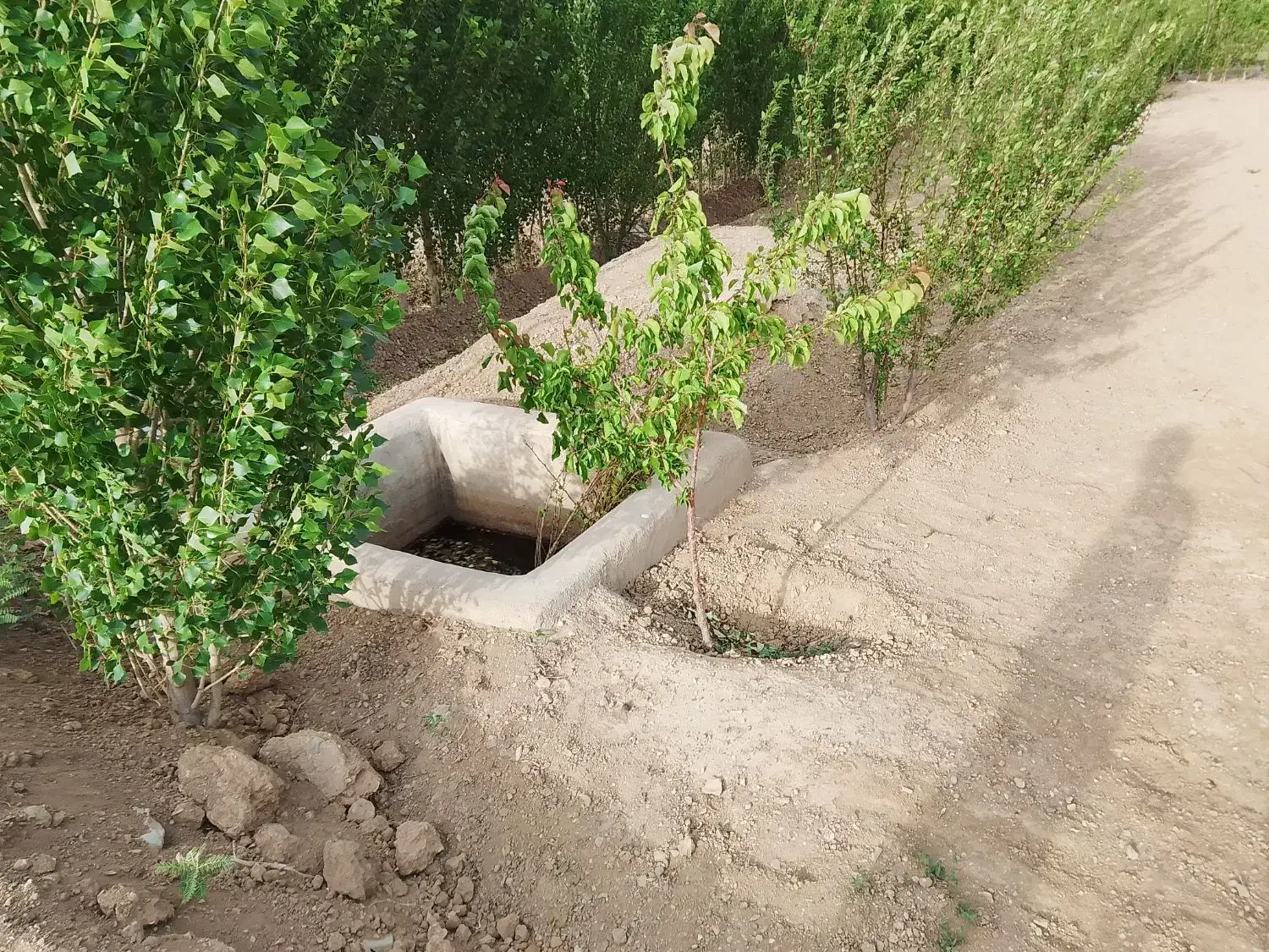 باغ|فروش زمین و ملک کلنگی|چهاردانگه (تهران), |دیوار