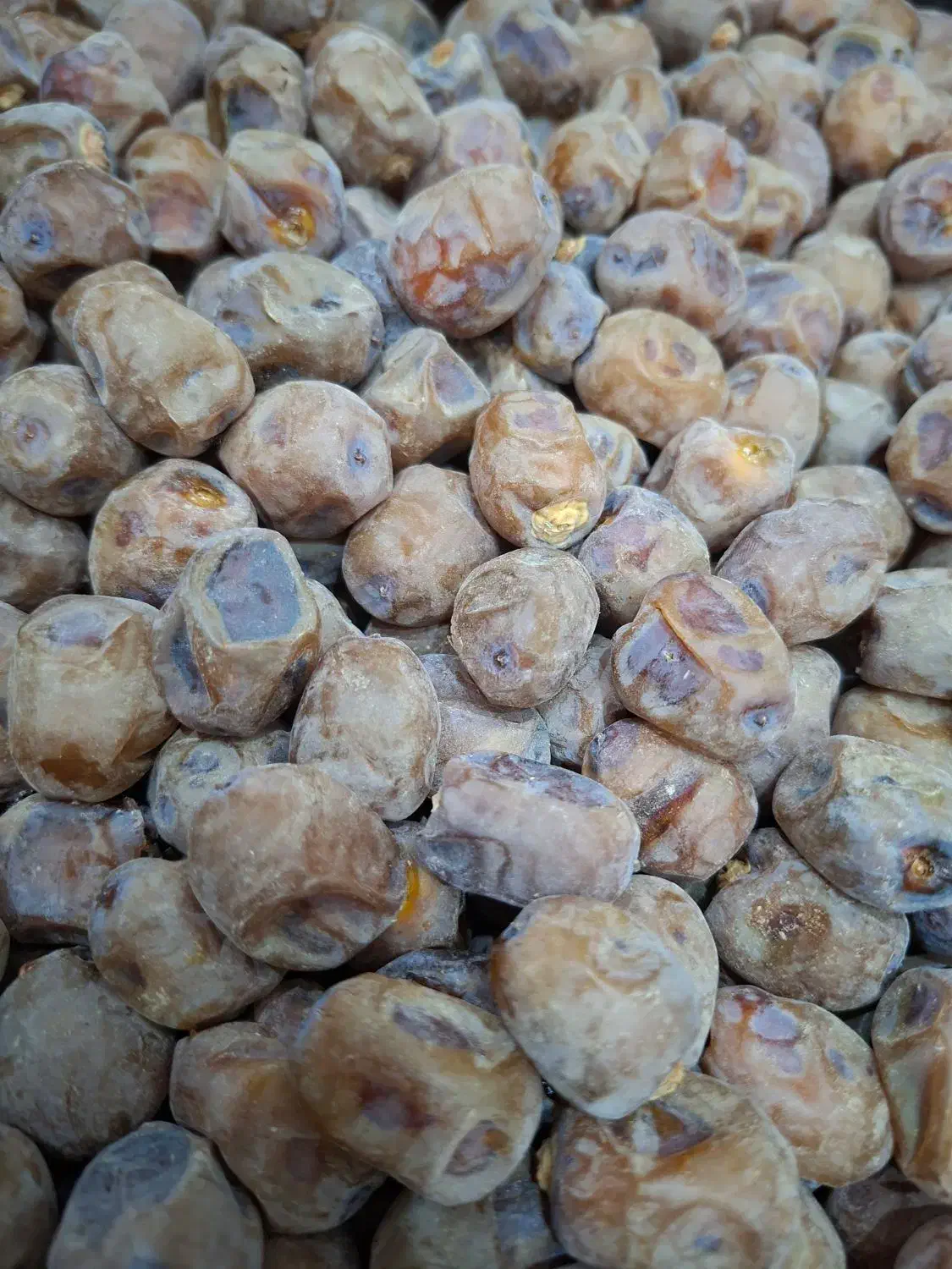 خرما برحی|خوردنی و آشامیدنی|اهواز, بهارستان|دیوار
