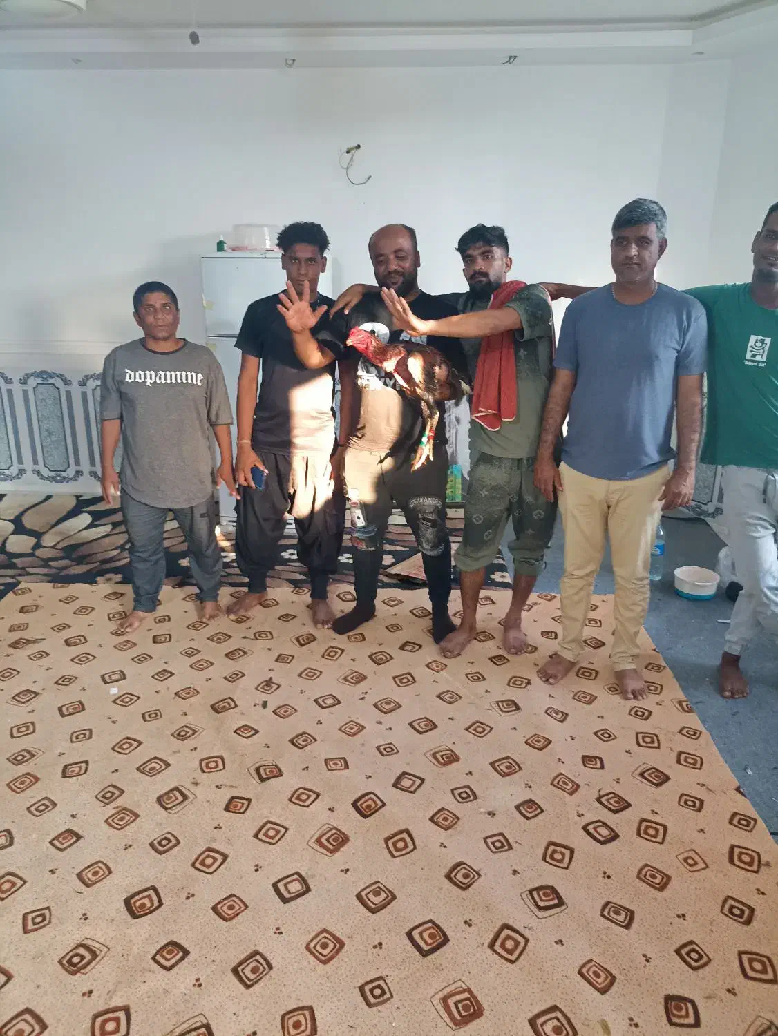 فروش خروس لاری|حیوانات مزرعه|میمند, |دیوار