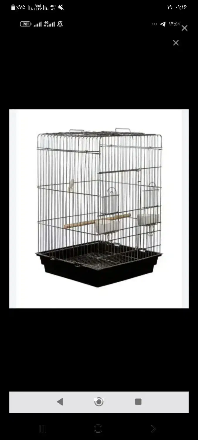 فروشی|لوازم جانبی حیوانات|سرپل ذهاب, |دیوار