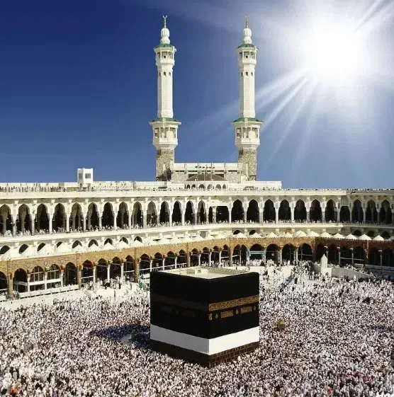 یک عدد فیش حج عمره|تور و چارتر|تربتحیدریه, شهرک ولیعصر|دیوار