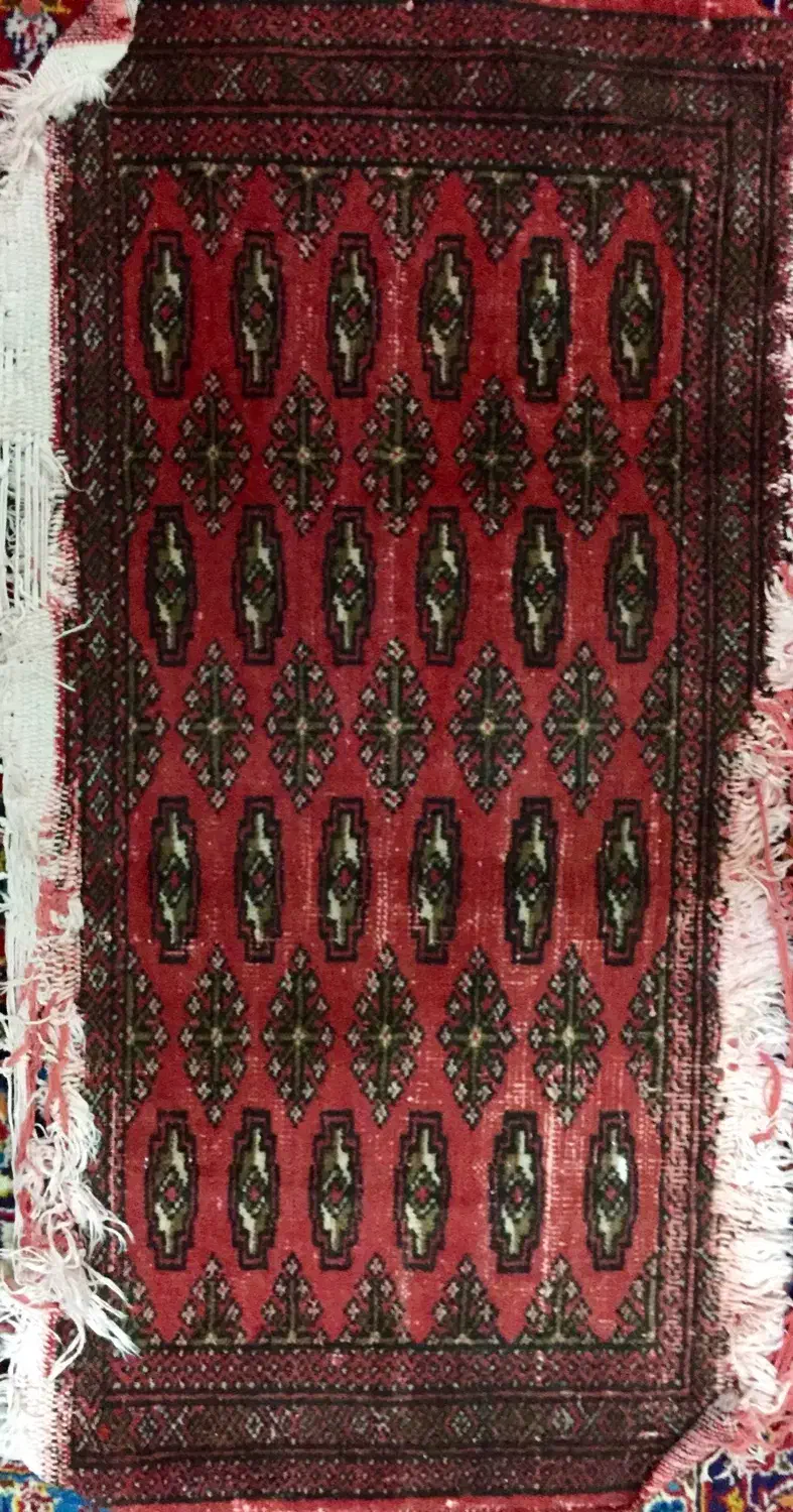 فروش|فرش|بهار, |دیوار