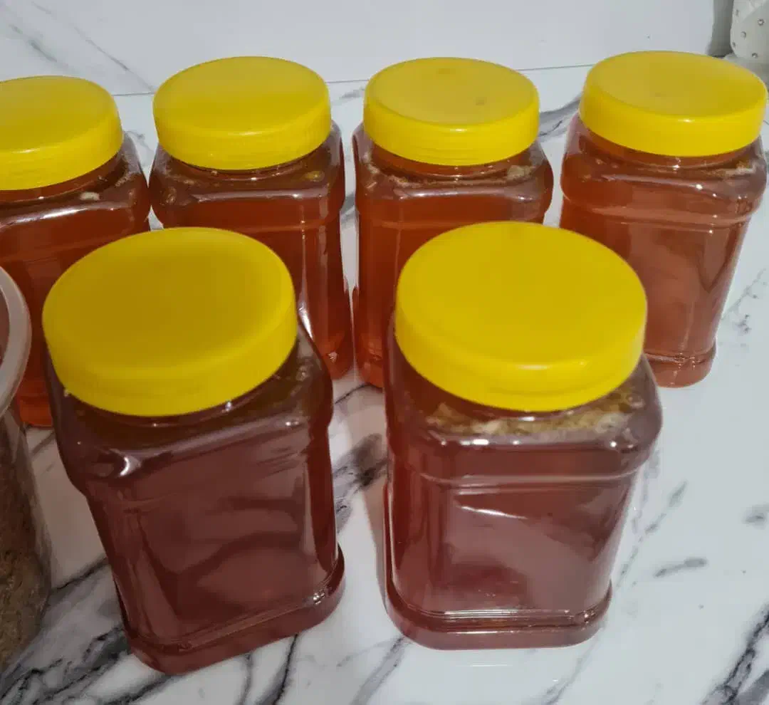 فروش عسل صددرصد طبیعی و جنگلی|خوردنی و آشامیدنی|چمستان, |دیوار