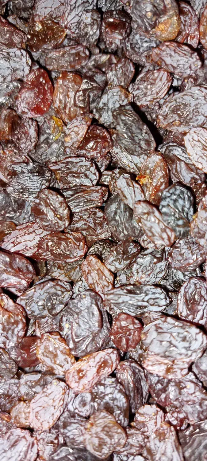 کشمش اورجینال امسال اردبیل|خوردنی و آشامیدنی|قدس, شهرقدس|دیوار