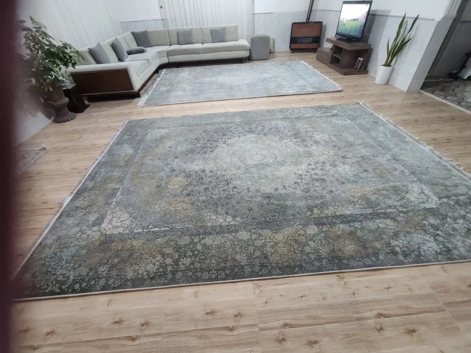 فرش نو|فرش|نیشابور, پنجراه|دیوار