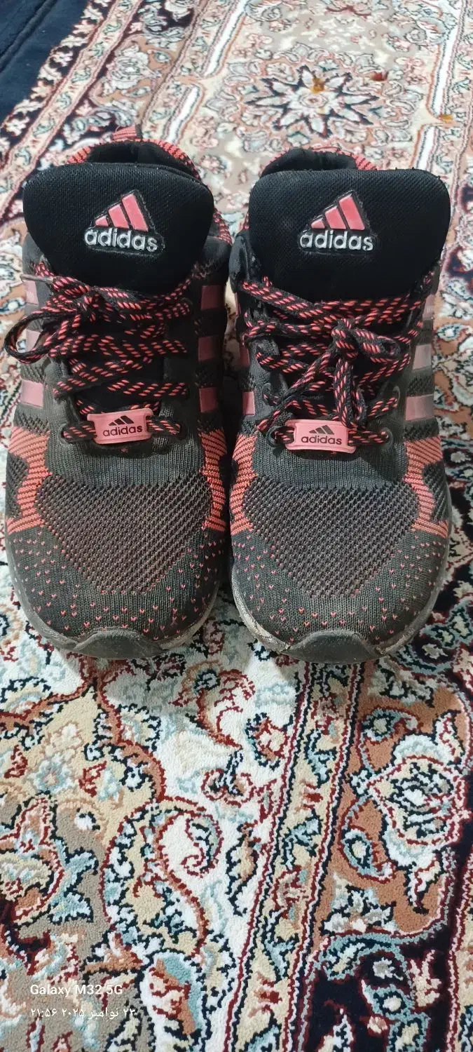 کفش|کیف، کفش، کمربند|کوهدشت, |دیوار