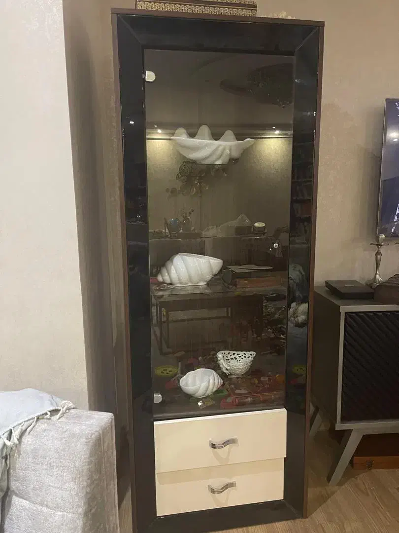 ویترین|بوفه، ویترین، کنسول|رشت, کاکتوس|دیوار