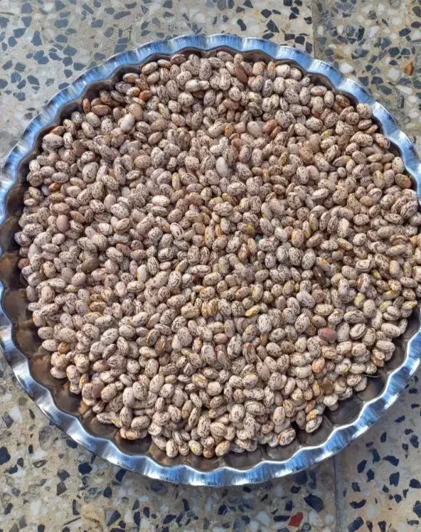 لوبیا چیتی|خوردنی و آشامیدنی|رامهرمز, |دیوار