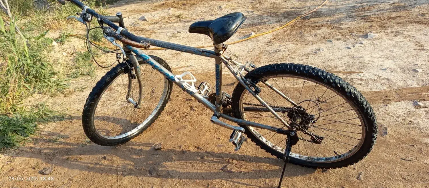 دوچرخه|دوچرخه، اسکیت، اسکوتر|مشگین شهر, |دیوار