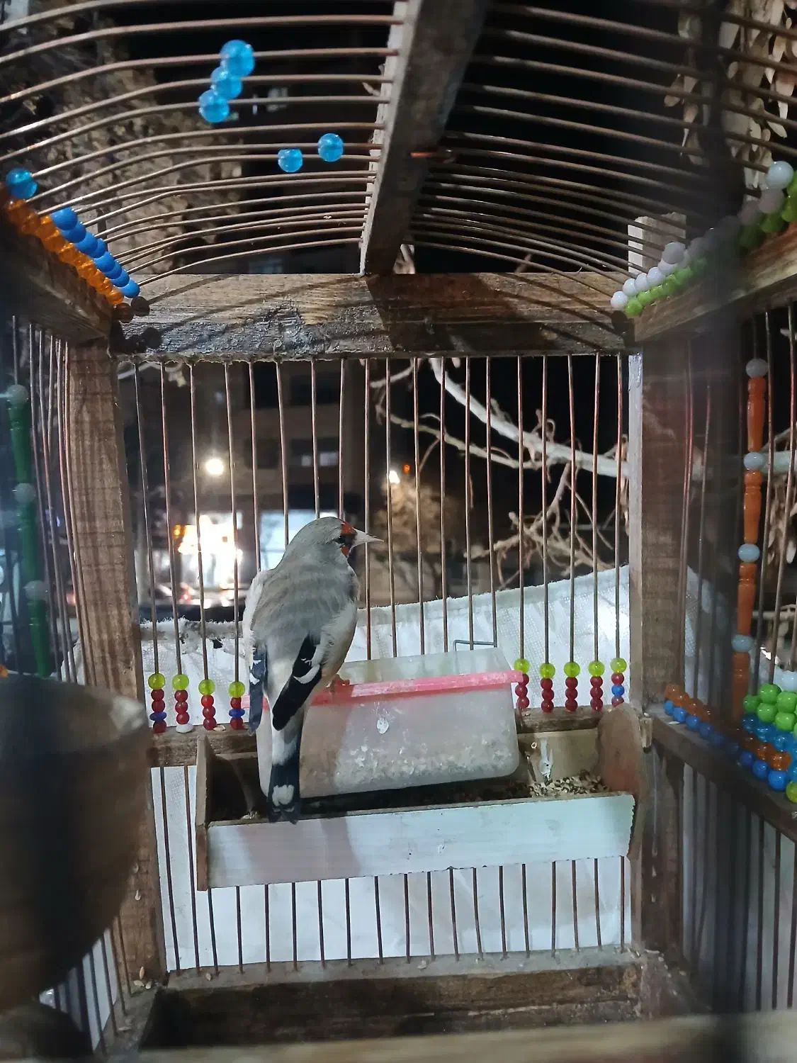 سهره|پرنده|سبزوار, فیاض|دیوار