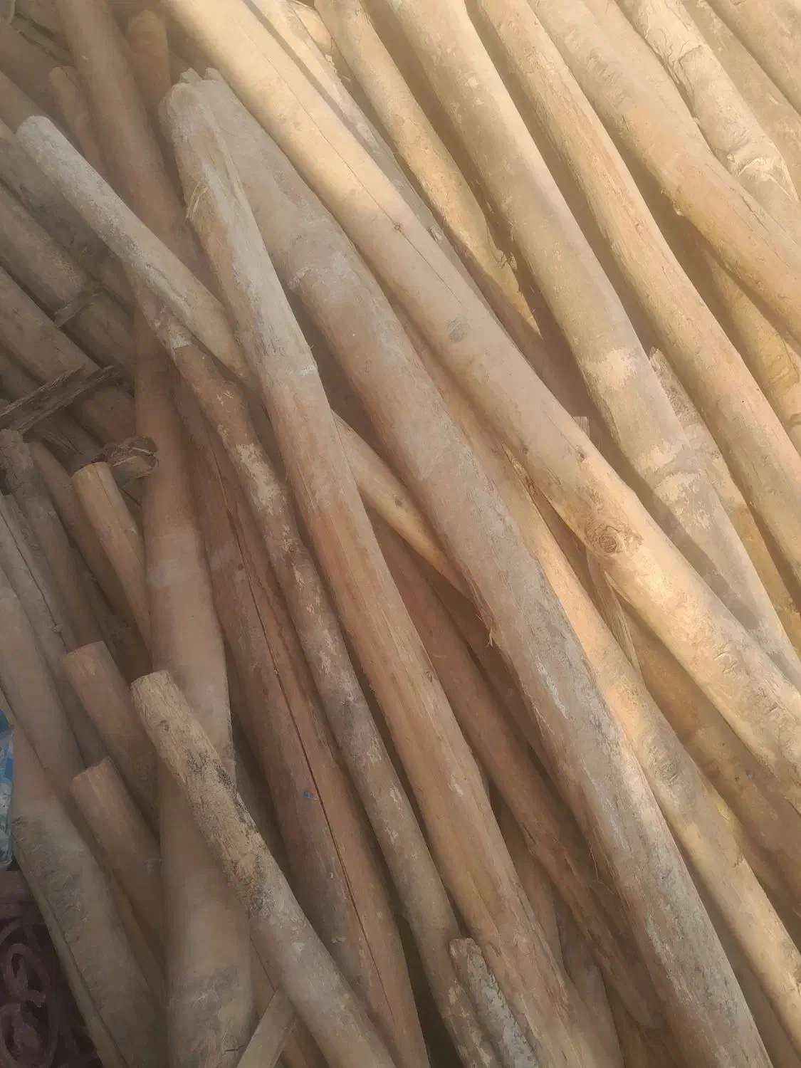 دار کبوده وتخته|مصالح و تجهیزات ساختمان|لردگان, |دیوار