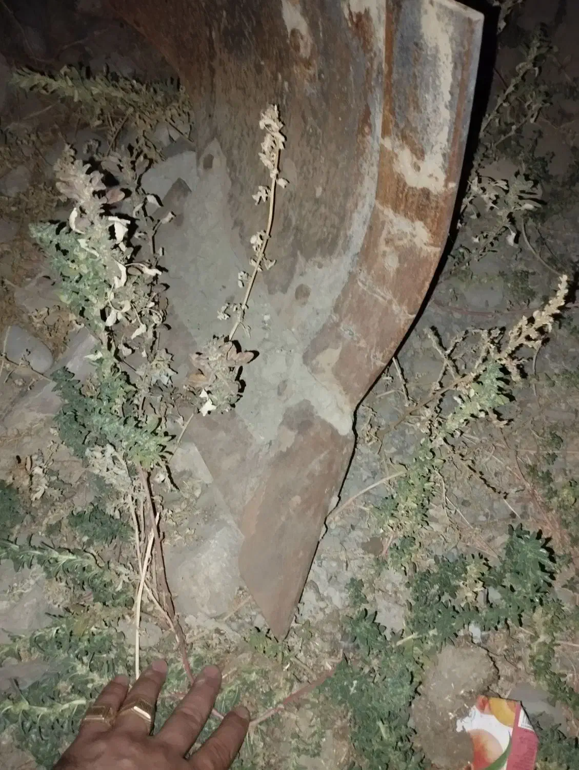 گاوآهن رومانی|ماشین‌آلات صنعتی|شاهیوند, |دیوار