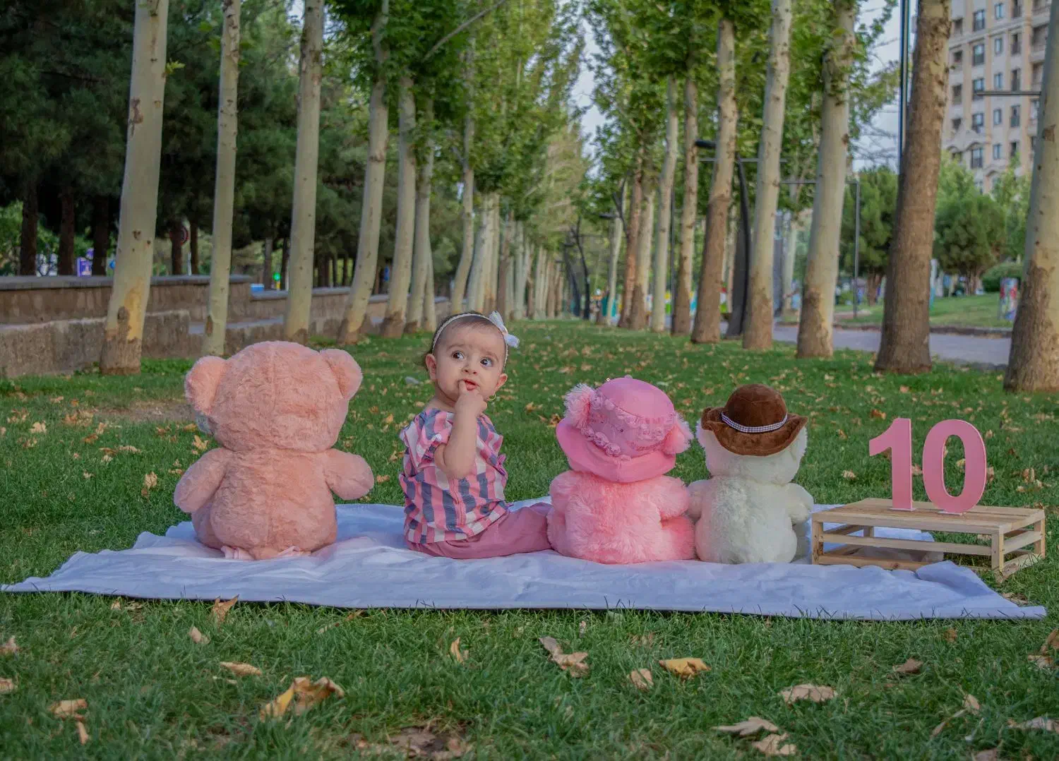 عکاسی و فیلمبرداری|خدمات پذیرایی، مراسم|سبزوار, نواب صفوی|دیوار