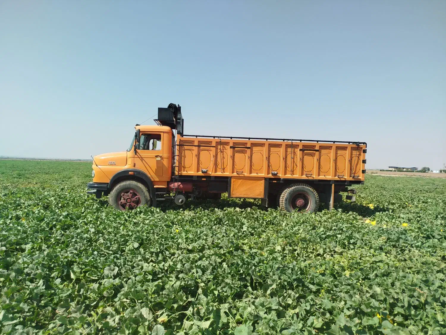 تک بنز باری|خودرو سنگین|ایزدخواست, |دیوار