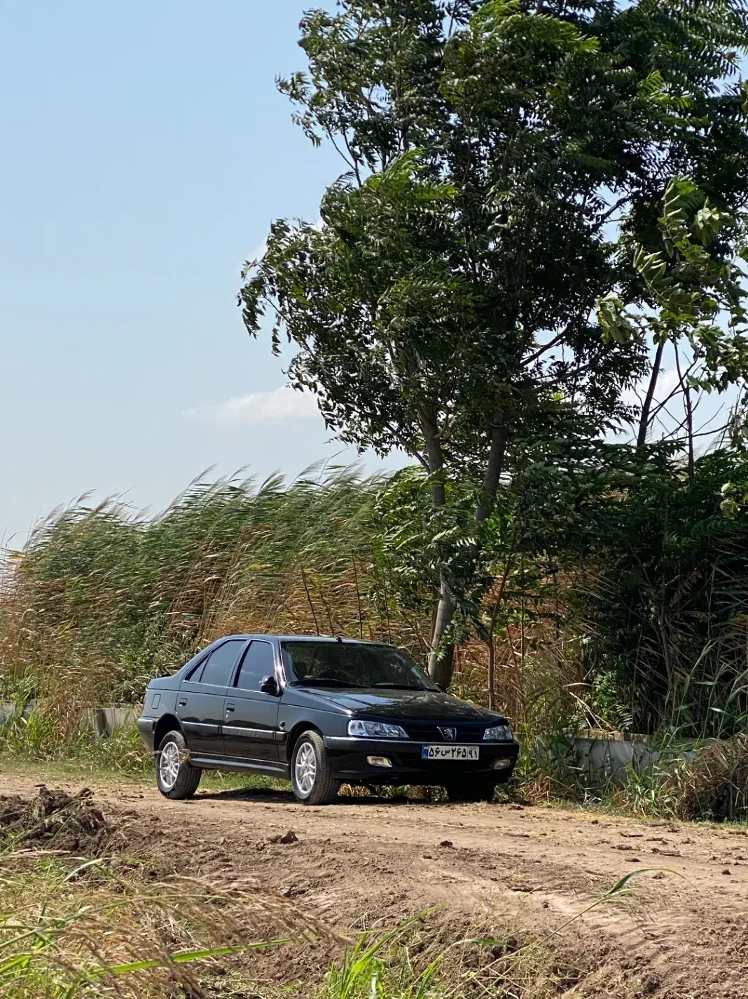 پرشیا Tu5 مدل ۹۵|خودرو سواری و وانت|پارس‌آباد, |دیوار