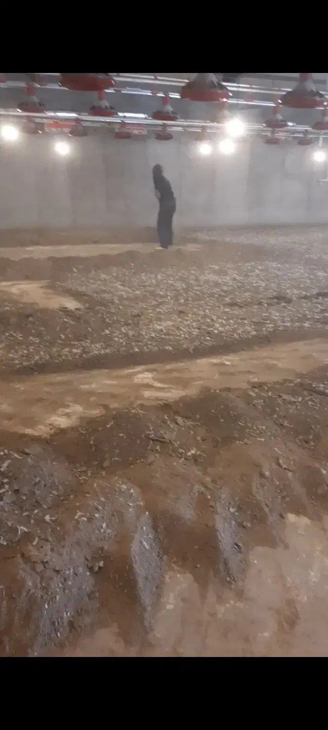 کود مرغ گوشتی|عمده‌فروشی|تیکمه داش, |دیوار