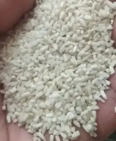 برنج محلی|عمده‌فروشی|دورود, |دیوار