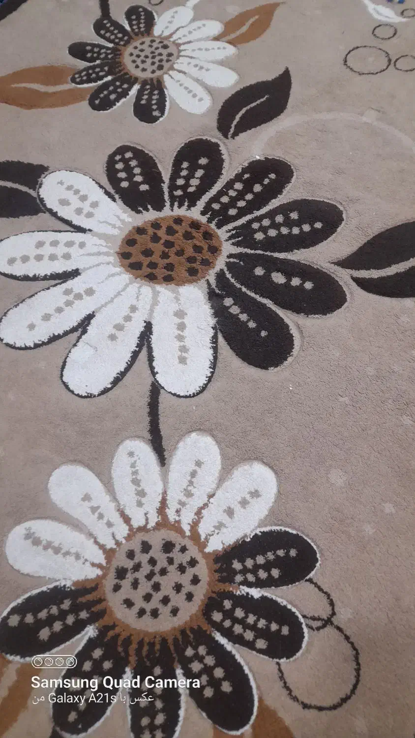 گلیم فرش ،زیبا|گلیم، جاجیم، گبه|بروجرد, |دیوار