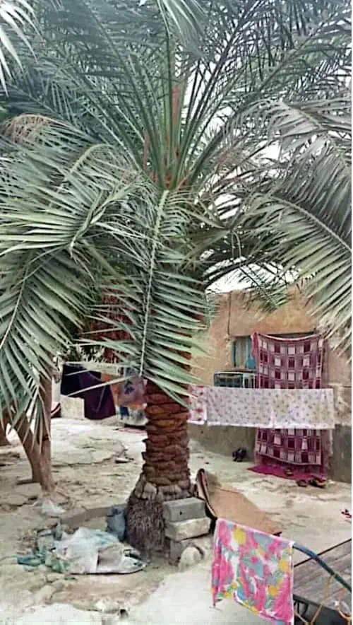 خانه ویلایی کلنگی 300متری|فروش خانه و ویلا|بندر کنگان, |دیوار