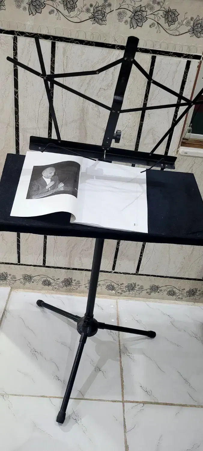 سنتور|سازهای سنتی|اردکان, |دیوار