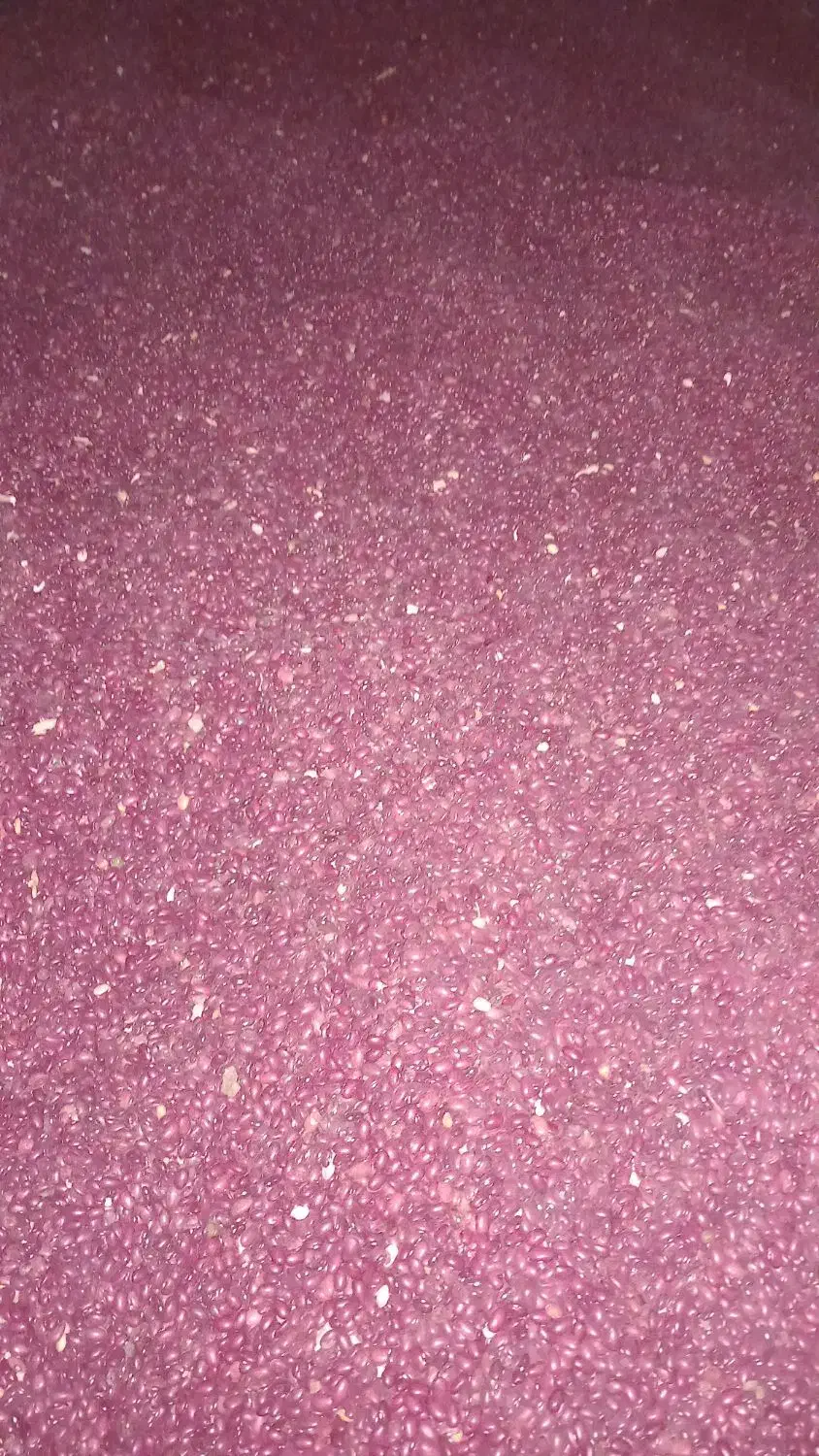 لوبیای قرمز|عمده‌فروشی|شاهنجرین, |دیوار