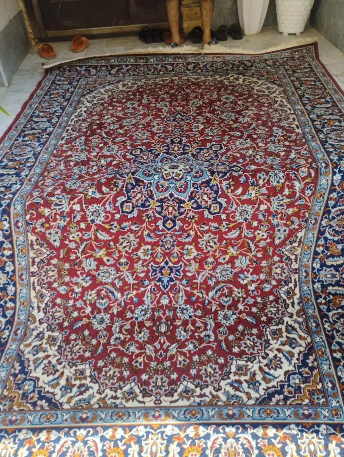 فرش لاهیجان|فرش|بوشهر, |دیوار