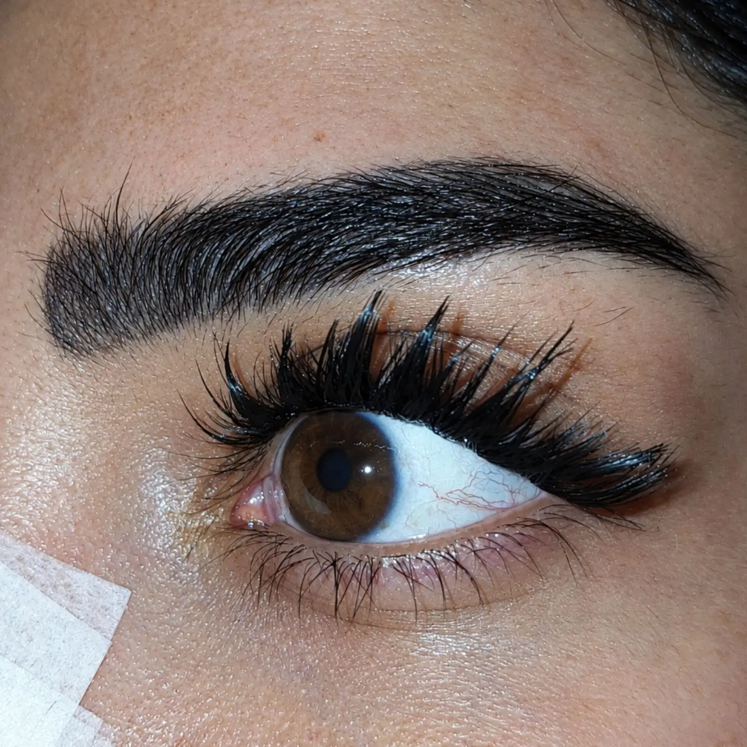 کاشت مژه|خدمات زیبایی و سلامت|شیراز, پودنک|دیوار