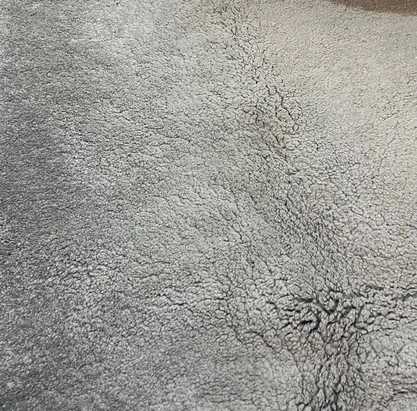 پالاز موکت|موکت|بندر ماهشهر, |دیوار