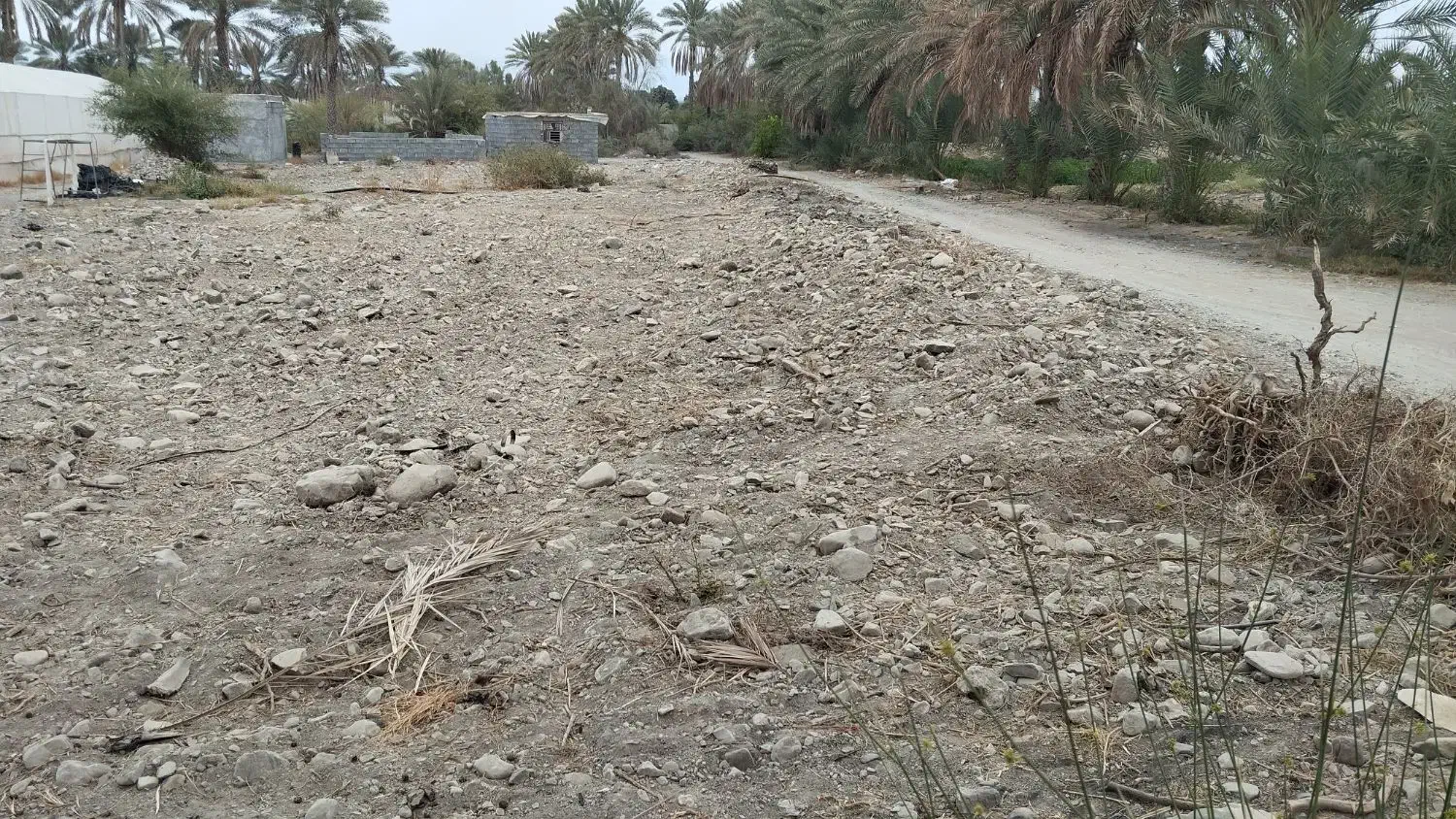 فروش زمین باغی|فروش زمین و ملک کلنگی|رودان, |دیوار