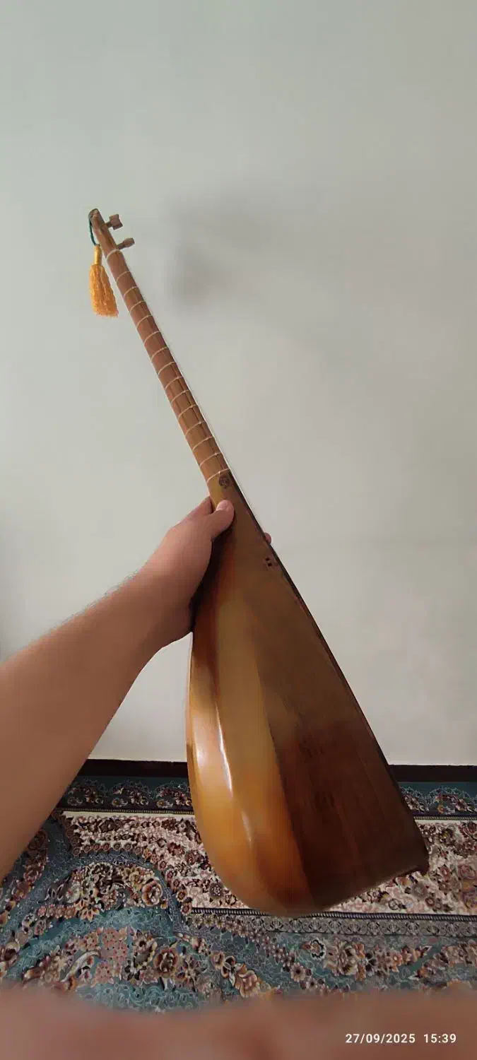 تنبور تک مهر مفاخری|سازهای سنتی|ایلام, |دیوار