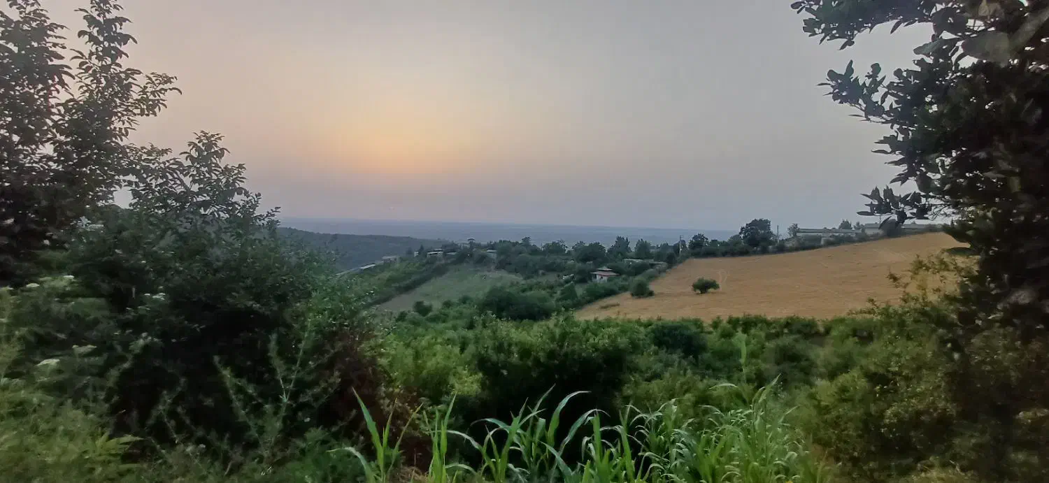 فروش زمین کوه|فروش زمین و ملک کلنگی|رستمکلا, |دیوار