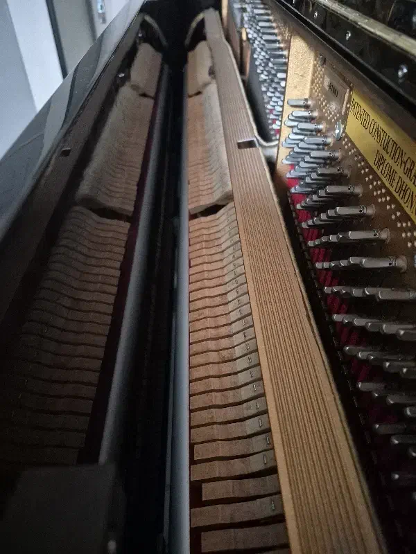 پیانو اکوستیک پتروف|پیانو، کیبورد، آکاردئون|کرج, فاز ۳ گوهردشت|دیوار