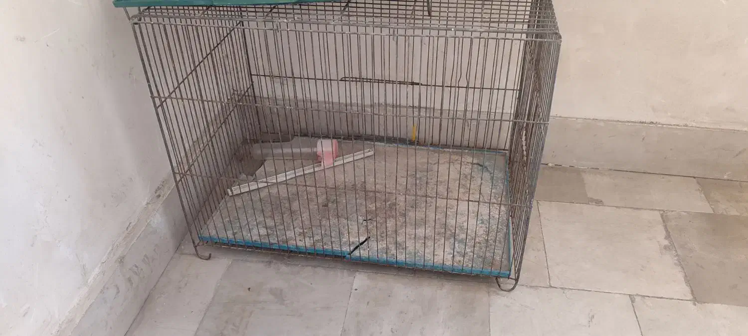 قفس|لوازم جانبی حیوانات|ملارد, |دیوار