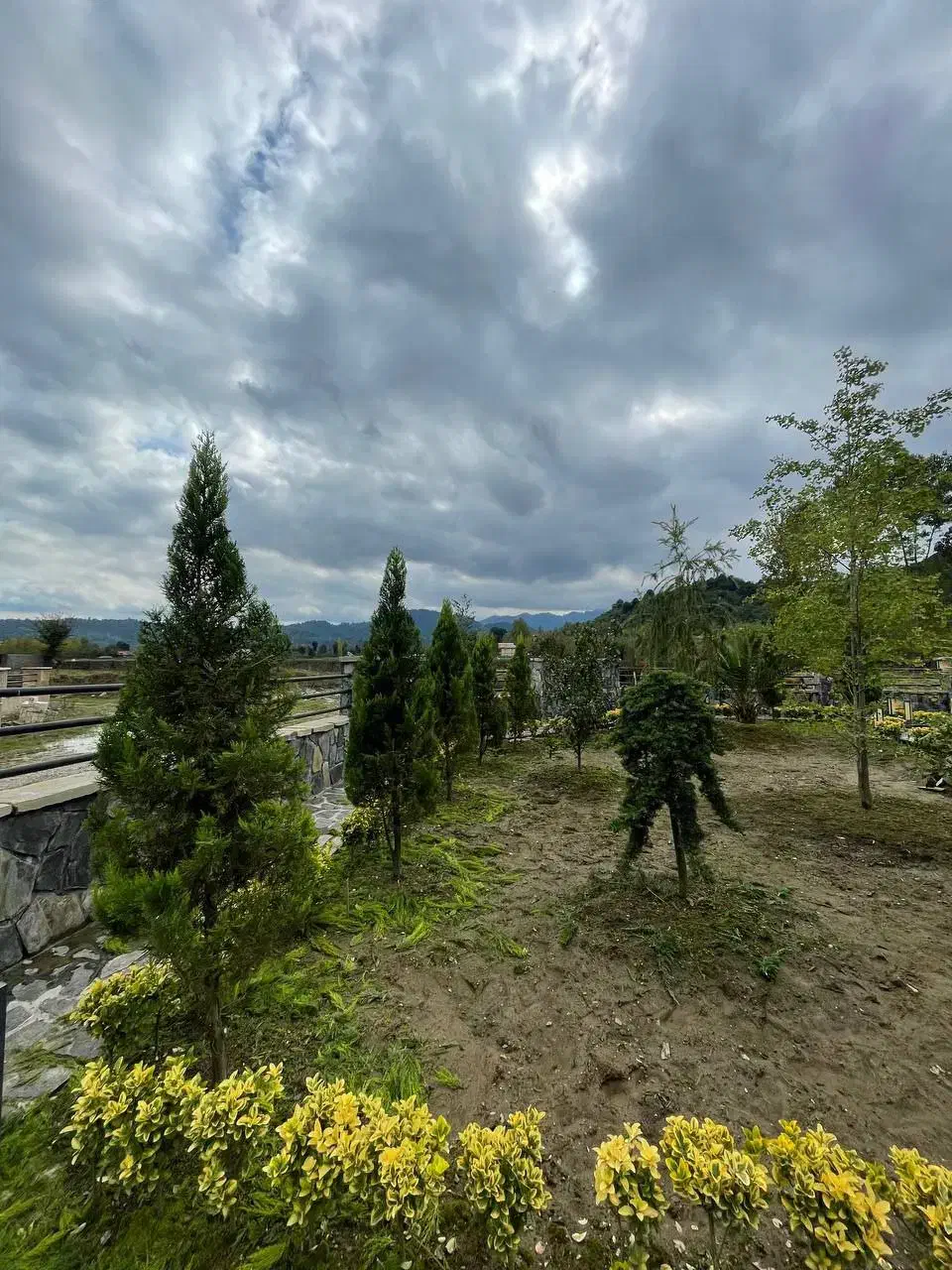 هرس و خدمات باغبانی|خدمات باغبانی و درختکاری|رشت, حومه رشت|دیوار