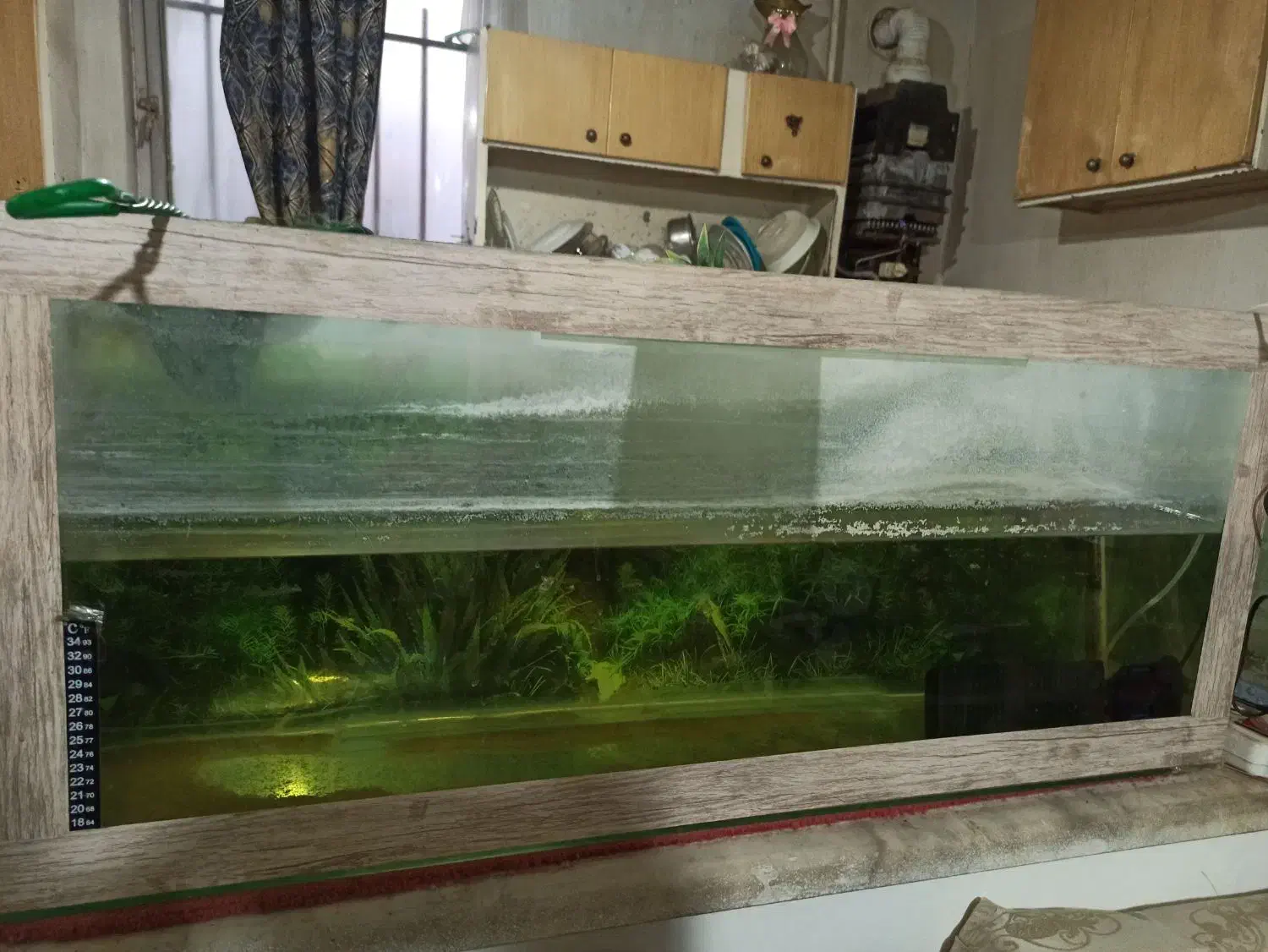 آکواریوم بزرگ|ماهیگیری|محمدیه-قزوین, |دیوار