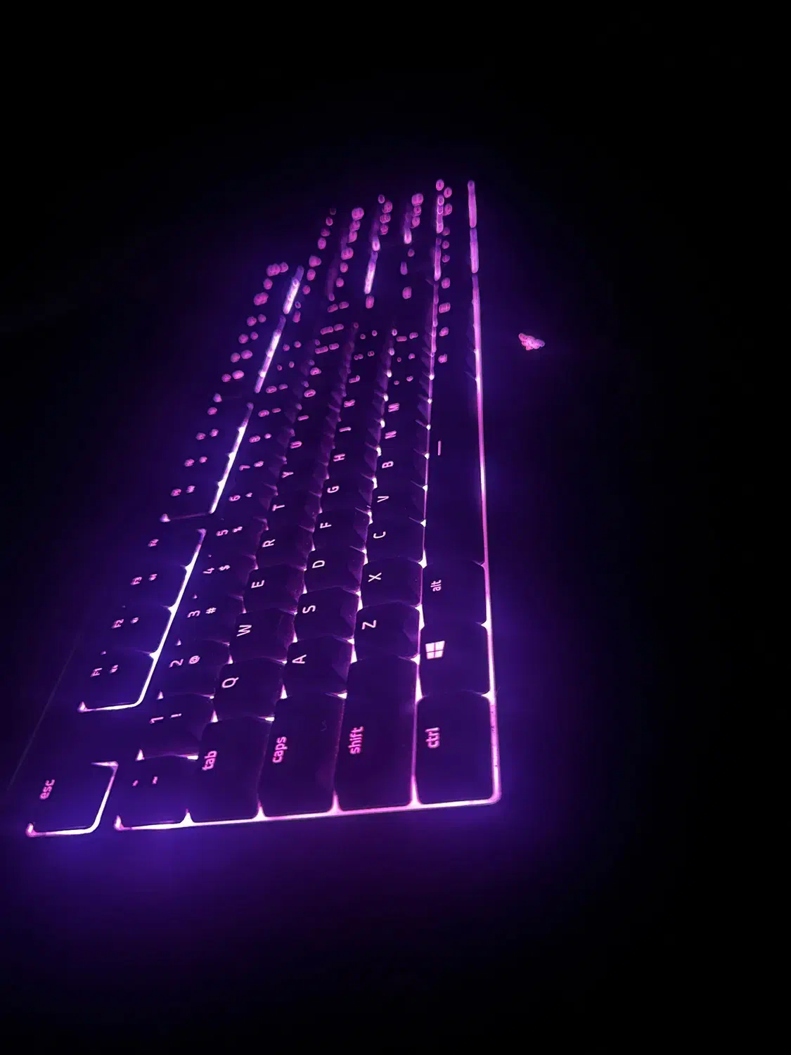 کیبورد RAZER Cynosa chroma|قطعات و لوازم جانبی رایانه|رشت, لاکانی|دیوار