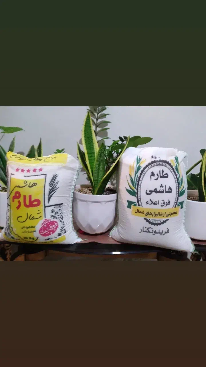 فروش برنج طارم  هاشمی فریدونکنار|خوردنی و آشامیدنی|گلپایگان, |دیوار