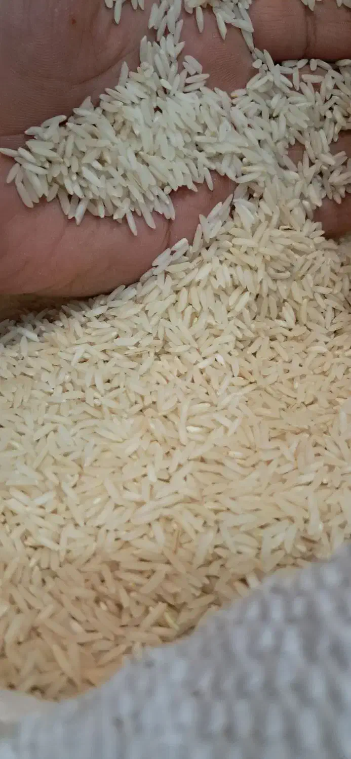 برنج هاشمی اعلاودرجه یک|خوردنی و آشامیدنی|رشت, پل تالشان|دیوار