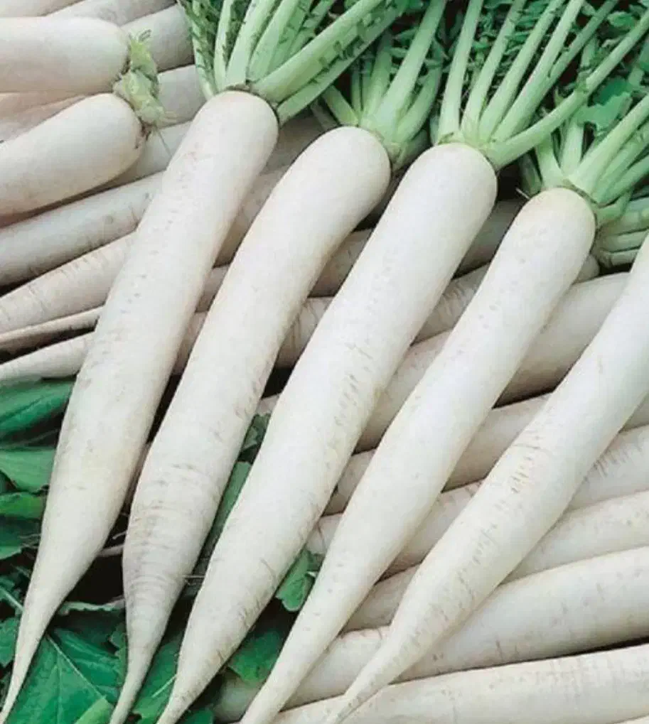 ترب ترد و آب یخ خورده|خوردنی و آشامیدنی|باوله, |دیوار