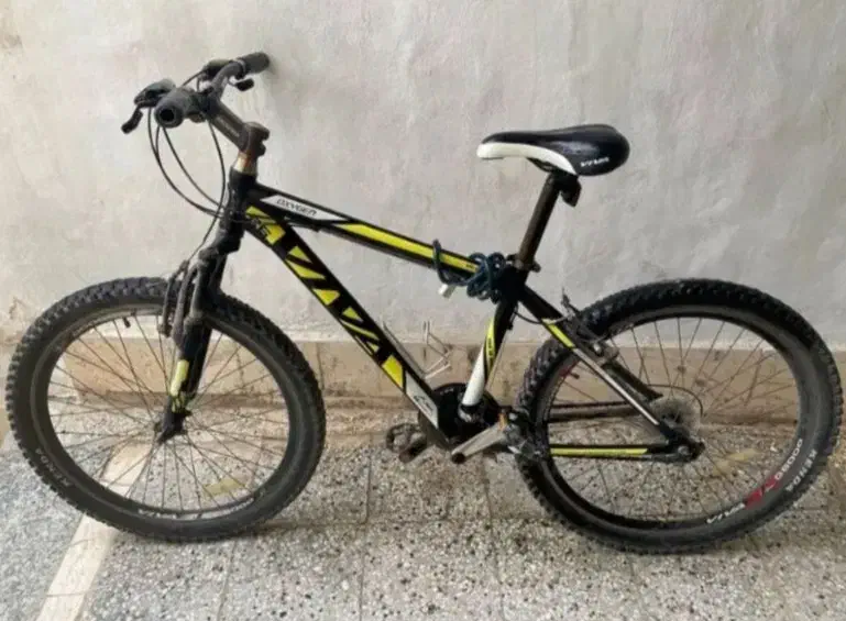 دوچرخه ویوا|دوچرخه، اسکیت، اسکوتر|تربت‌حیدریه, ده پائین|دیوار