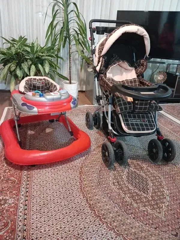 کالسکه و روروُک|کالسکه و لوازم جانبی|مراغه, |دیوار